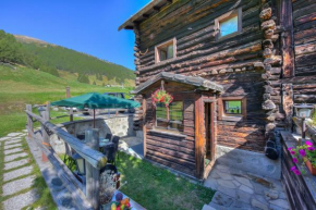Chalet Sciachilo Ski In-Ski Out Mt 10 - Happy Rentals